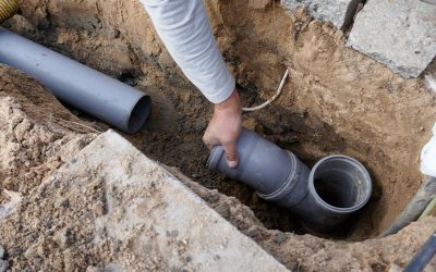 How Tree Roots Affect Underground Residential Plumbing Lines