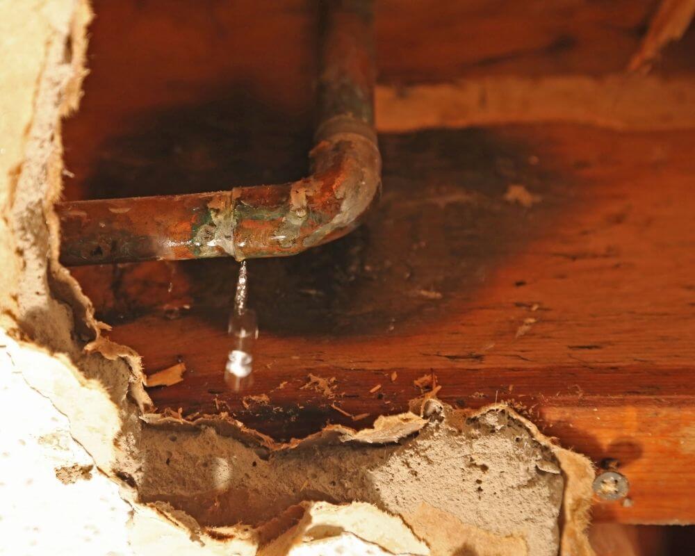 Leak Detection And Mold Risk